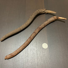 Load image into Gallery viewer, Palmyrah Male Flower Stem