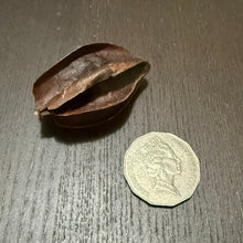 Load image into Gallery viewer, Kumbuk Pods