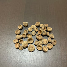 Load image into Gallery viewer, Acorn Caps (English Oak) High Tannins