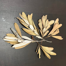 Load image into Gallery viewer, Banksia Leaf Clusters -5 pieces-