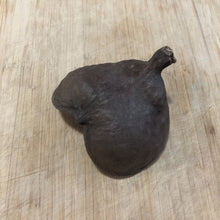 Load image into Gallery viewer, Badam Nut / Elephant Ear Pod