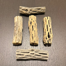 Load image into Gallery viewer, Cholla Wood - 7-9 cm -