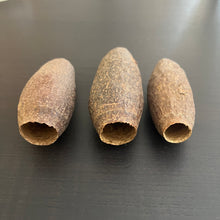Load image into Gallery viewer, Cariniana Pods