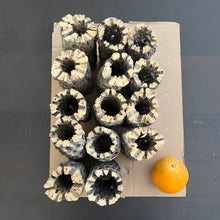 Load image into Gallery viewer, Teddy Cholla Wood