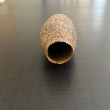 Load image into Gallery viewer, Cariniana Pods
