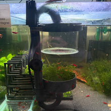 Load image into Gallery viewer, JBA 3d printed Eggport/Seed shrimp catcher
