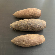 Load image into Gallery viewer, Cariniana Pods