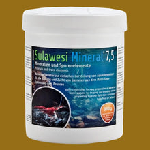 Load image into Gallery viewer, Salty Shrimp Sulawesi Mineral 7,5- Minerals and trace elements