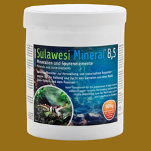 Load image into Gallery viewer, Salty Shrimp Sulawesi Mineral 8,5- Minerals and trace elements