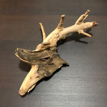 Load image into Gallery viewer, Amazon Biotope Wood 25- 30cm