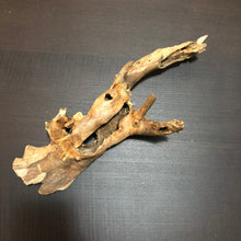 Load image into Gallery viewer, Amazon Biotope Wood 25- 30cm