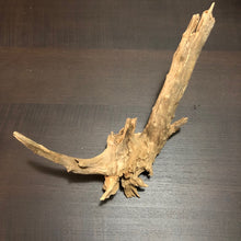 Load image into Gallery viewer, Amazon Biotope Wood 25- 30cm
