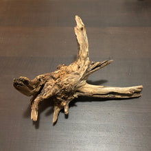 Load image into Gallery viewer, Amazon Biotope Wood 25- 30cm