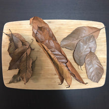 Load image into Gallery viewer, Autumn in a box (Mixed Leaves)