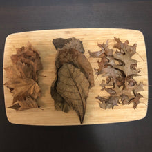 Load image into Gallery viewer, Autumn in a box (Mixed Leaves)