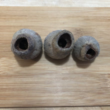 Load image into Gallery viewer, Gumnuts -10 pcs-