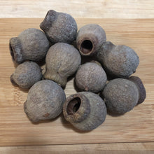 Load image into Gallery viewer, Gumnuts -10 pcs-