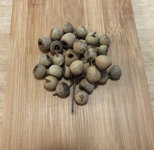 Load image into Gallery viewer, Jarrah (Eucalyptus marginata) seed pods - 50 gram -