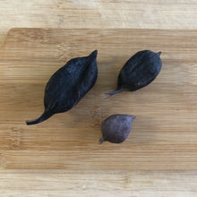 Load image into Gallery viewer, Kurrajong Pods - 7 or 20 pieces-