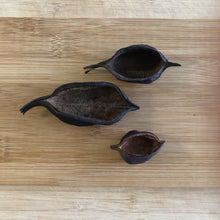 Load image into Gallery viewer, Kurrajong Pods - 7 or 20 pieces-