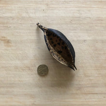 Load image into Gallery viewer, Kurrajong Pods XXL - 3 pieces