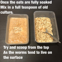 Load image into Gallery viewer, Starter Culture- Microworms (Ideal For Young Fry)