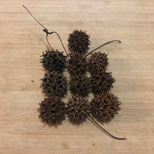Load image into Gallery viewer, Sweet Gum Cones -10 pcs -