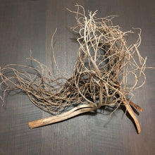Load image into Gallery viewer, Palm Tree Fronds/Twig (curly)