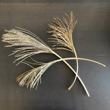 Load image into Gallery viewer, Palm Tree Fronds/Twig