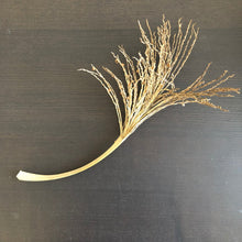 Load image into Gallery viewer, Palm Tree Fronds/Twig