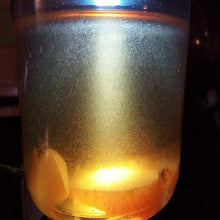 Load image into Gallery viewer, Starter Culture - Vinegar Eels (Micro Live Food)
