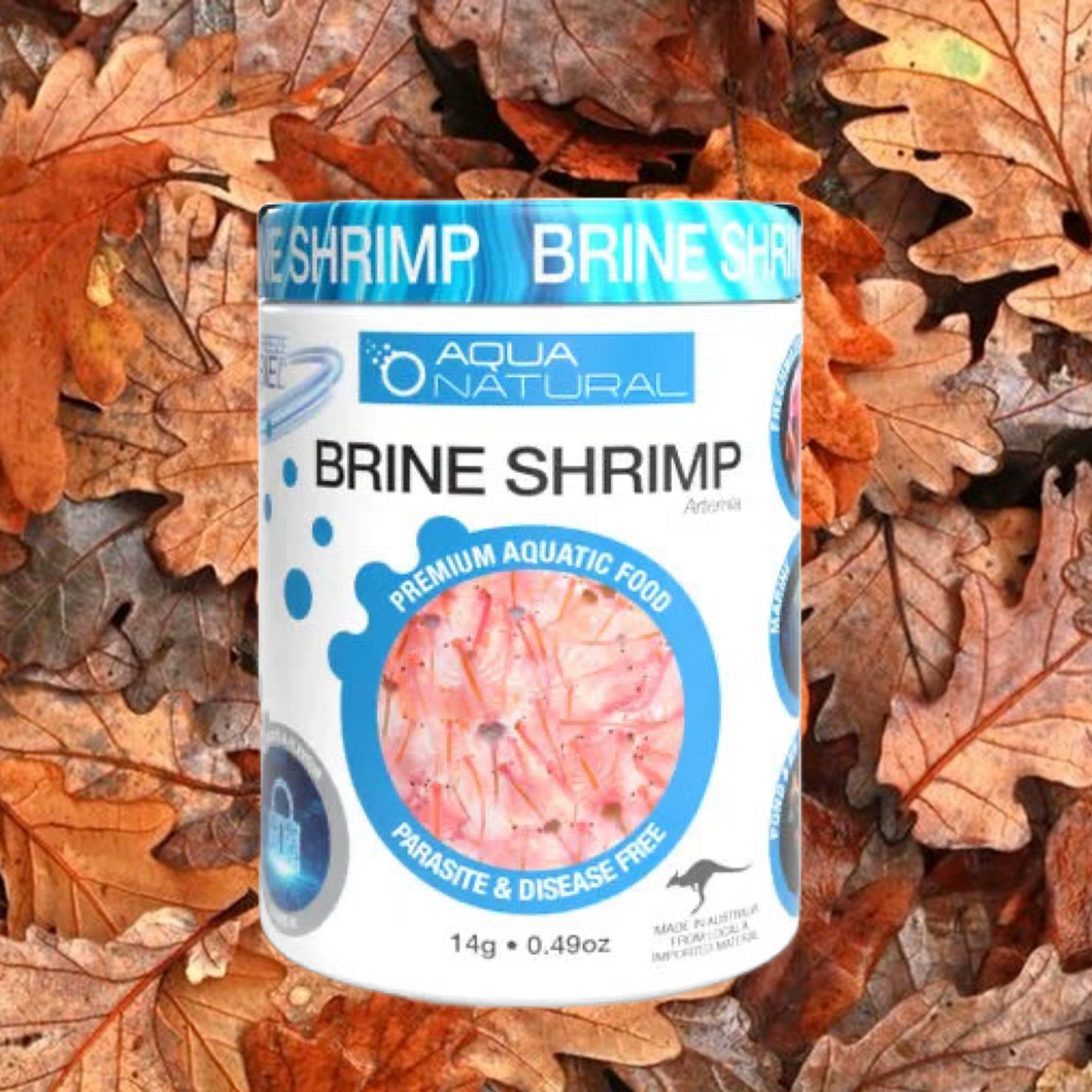 FREEZE DRIED BRINE SHRIMP 14G