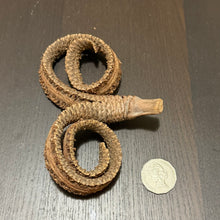 Load image into Gallery viewer, Rams Horn Stem
