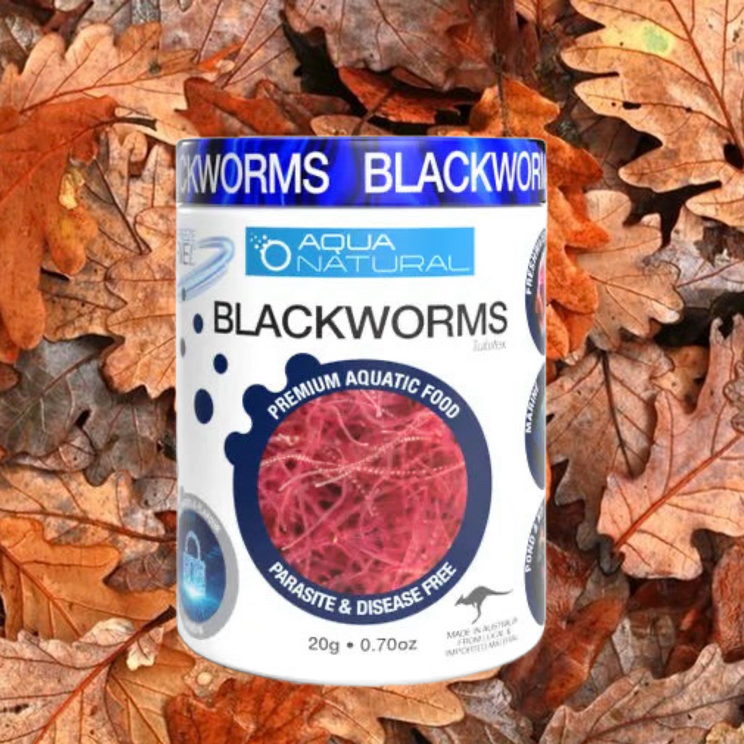 FREEZE DRIED BLACKWORMS 20G (TUBIFEX)