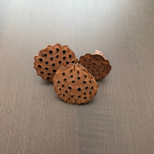 Load image into Gallery viewer, Lotus seed pod mini  -3pcs-

