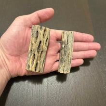 Load image into Gallery viewer, Cholla Wood - 7-9 cm -
