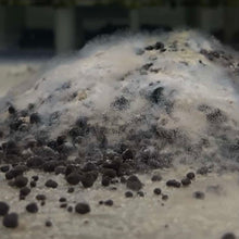 Load image into Gallery viewer, DSP (Dead Shrimp Powder) 50gram
