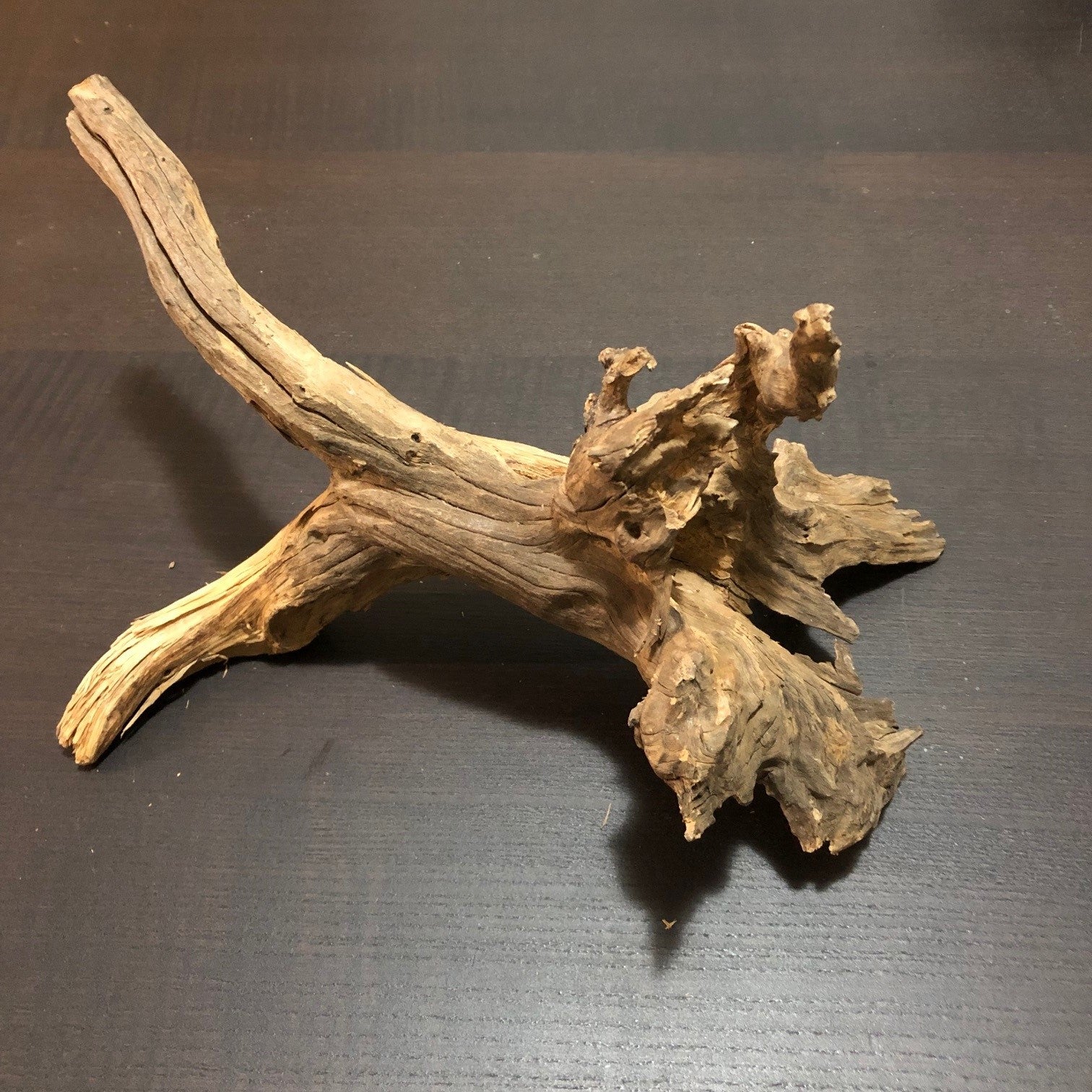 Amazon Biotope Wood 25- 30cm – Blackwater Aquariums