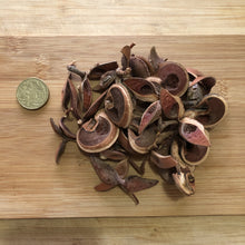 Load image into Gallery viewer, Hakea seed pods -50 gram-
